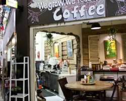 If you are feeling hungry then go to the first flo If you are feeling hungry then go to the first floor of the market, you will find national and international food restaurants like Mexican Cantina, a